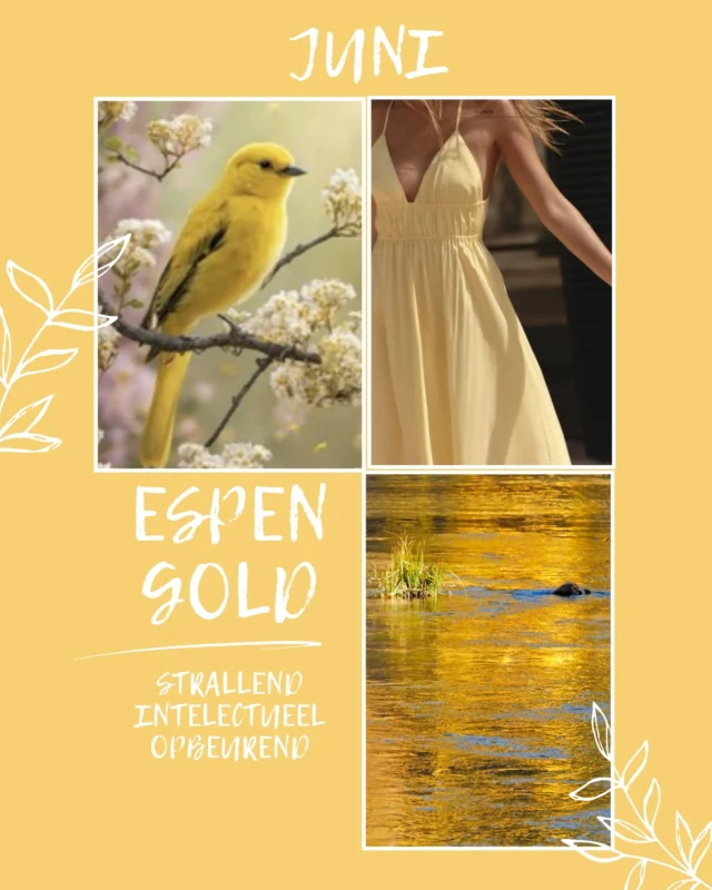 ✨ Kleur van de maand: ESPEN GOLD ✨
Stralend. Intellectueel. Opbeurend.
Deze zonovergoten tint is jouw mentale vitamine D ☀️
Voel je je futloos? Espen Gold geeft je die heldere boost die je nodig hebt.
Een kleur die niet alleen schittert, maar ook je geest verlicht 💛
Laat je humeur mee stromen met deze krachtige, positieve energie.

#ColorOfTheMonth #EspenGold #truiamsterdam #kleurinspiratie #zomerenergie #juni #kleurpsychologie #moodboost #fashion #styling #kleurvandemaand